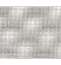 REFLEX 5 - SILVER