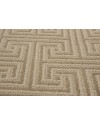 ARTIFACT ZZ226 - 00712 BIRCHWOOD