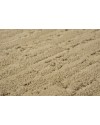 TRACE ZZ319 - 00773 CANYON