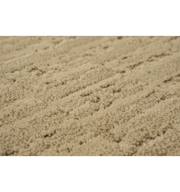 TRACE ZZ319 - 00773 CANYON