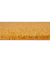 00655 ORANGE