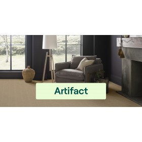Artifact
