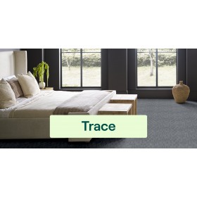 Trace